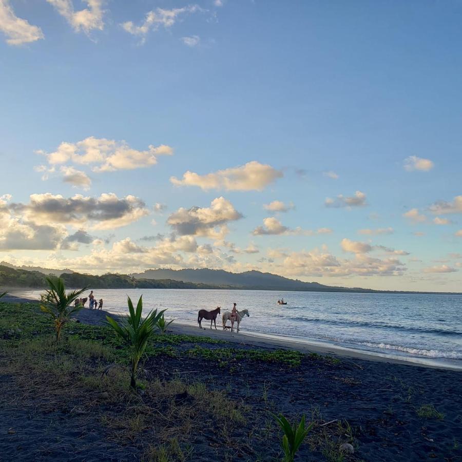 Playa Negra Brewing Beachfront Hotel Puerto Viejo de Talamanca Екстер'єр фото